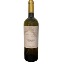 Tergestum Pinot Grigio Friuli DOC - Villa Vitas