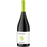 Coda di Volpe Irpinia DOC - Vigne Irpine