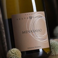 Lugana Riserva Menasasso