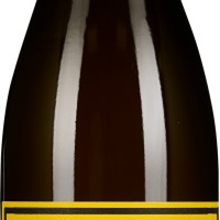 Querschnitt Grüner Veltliner & Co