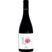 Nero d’Avola DOC Sicilia BIO - Baglio Ingardia
