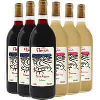 Flavia Rebellious Wines Kennenlern-paket Etna DOC BIO - Flavia Rebellious Wines
