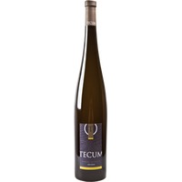 Weissburgunder 'Tecum' - Weingut Castelfeder