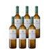 Pack 6 Viña Mayor Verdejo 