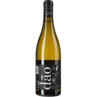 Alvaro Castro Branco Reserva