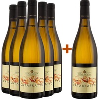 5+1 Paket Catarratto Sicilia DOC BIO BIO - Luna Sicana