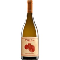 Triga Blanco Alicante DO - Vegan - Bodegas Volver (26,67 CHF pro 1 l)