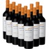 Estate Malbec von Kaiken - 12x Vorteils-Weinpaket 
