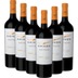 Estate Malbec von Kaiken - 6x Vorteils-Weinpaket 