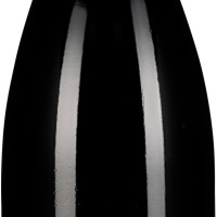 Pinot Noir Ried Kästenbaum