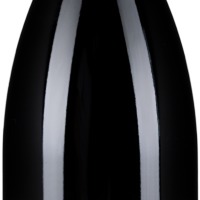 Pinot Noir Ried Holzspur