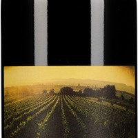 Merlot Schützner Stein