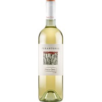 Gino Fasoli Chardonnay Le Perantonie IGT - - Veneto, Italien