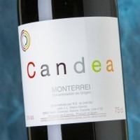 Candea Tinto