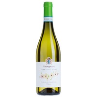 Vignamato Terra delle Lame Verdicchio dei Castelli di Jesi Classico