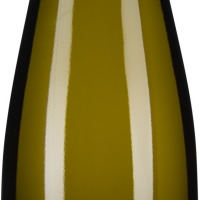 Grüner Veltliner Ried Stein 1ÖTW Erste Lage