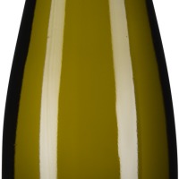 Grüner Veltliner Ried Spiegel 1ÖTW Erste Lage