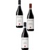 „Giulia Negri-Nebbiolo-Paket“ (3 Flaschen) 