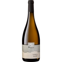 Cuvée "Terre & Secret" Chablis AOP - Domaine Mosnier