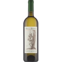 Traminer Aromatico Vigneti delle Dolomiti IGT