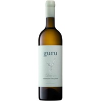 guru Vinha da Calçada