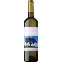 Sousa Lopes Loureiro