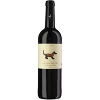 Lili Cellar Dog Selection