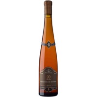 Piloto   20 anos Superior  Península de Setúbal