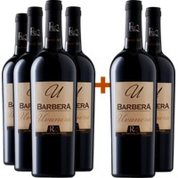 4+2 Paket Barbera Terre degli Osci IGP - La Cantina di Remo