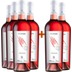 4+2 Paket Forme Rosato Puglia IGP - Cantine Massimo Leone 