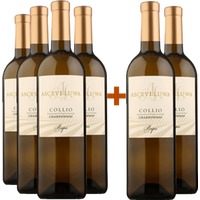 4+2 Paket Rupis Chardonnay Collio Goriziano DOC - Ascevi Luwa