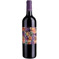 G. Punto Grenache