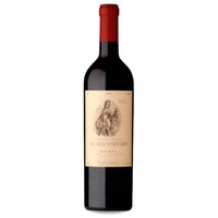 Catena Zapata Nicasia Vineyard