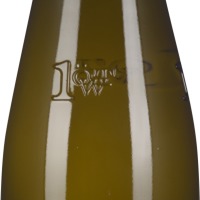 Grüner Veltliner Steinberg 1ÖTW Erste Lage