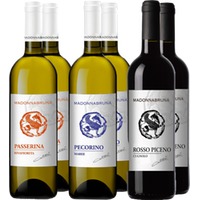 Madonnabruna Classici-Kennenlern-Paket - Madonnabruna