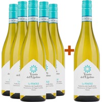 5+1 Paket Le Piaole Verdicchio dei Castelli di Jesi Classico BIO - Tenuta dell'Ugolino