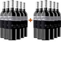 6+6 Paket Catarratto Sicilia DOC BIO - Ottoventi