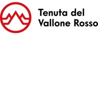 TDVR CS Carricante trocken 1,5 L - Tenuta del Vallone Rosso