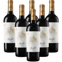 Juan Gil Raíces Rotwein Jumilla 6er Weinpaket