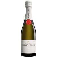 Raventós i Blanc Brut Reserva »Blanc de Blancs« Reserva Spanien Cava Trocken