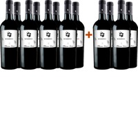 8+4 Paket Bombino Bianco Puglia IGP - Cantine Massimo Leone