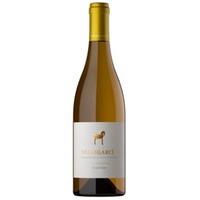 Vallegarcía Viognier