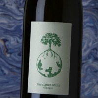 Werlitsch Sauvignon Blanc Vom Opok