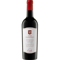 Appassionatamente 1908 IGT - Cielo e Terra