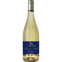Sauvignon Blanc IGT - Collavini
