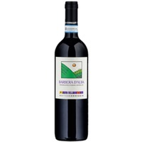 Matteo Correggia Barbera d'Alba DOC - - Piemont, Italien