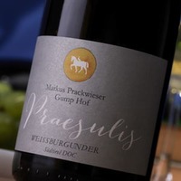 Weißburgunder Praesulis