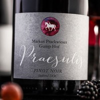 Pinot Noir Praesulis