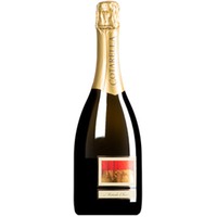 Metodo Classico Spumante VSQ brut