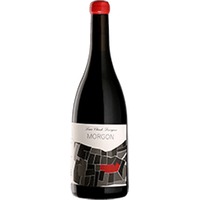 Domaine Louis Claude Desvignes : Château Gaillard